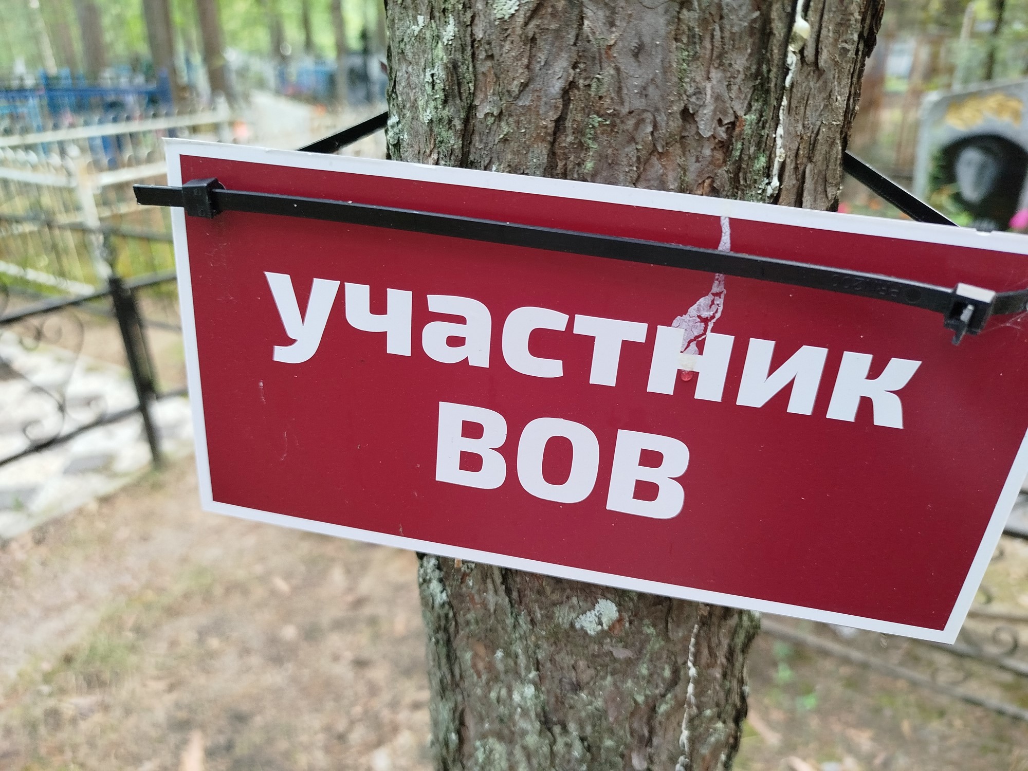 Степаненко Дмитрий Терентьевич