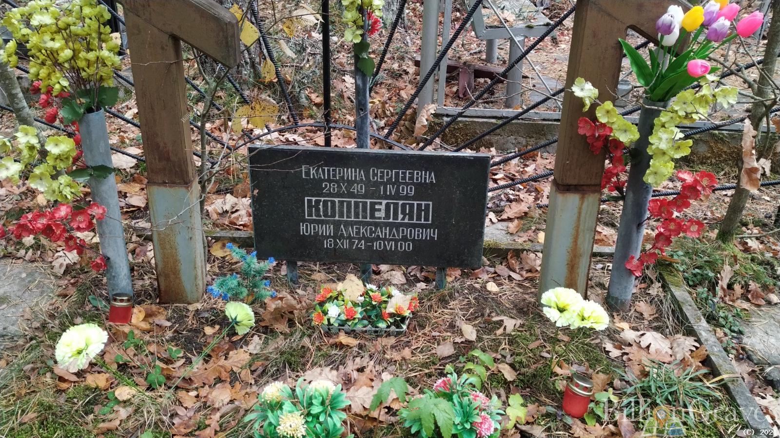 Коппелян Екатерина Сергеевна