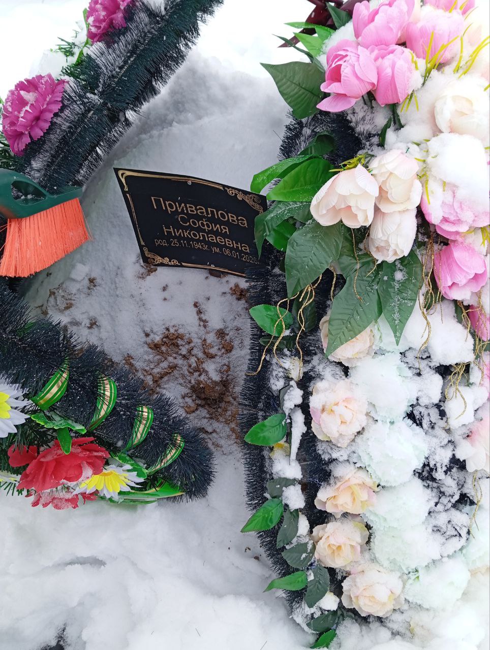 София Привалова Николаевна