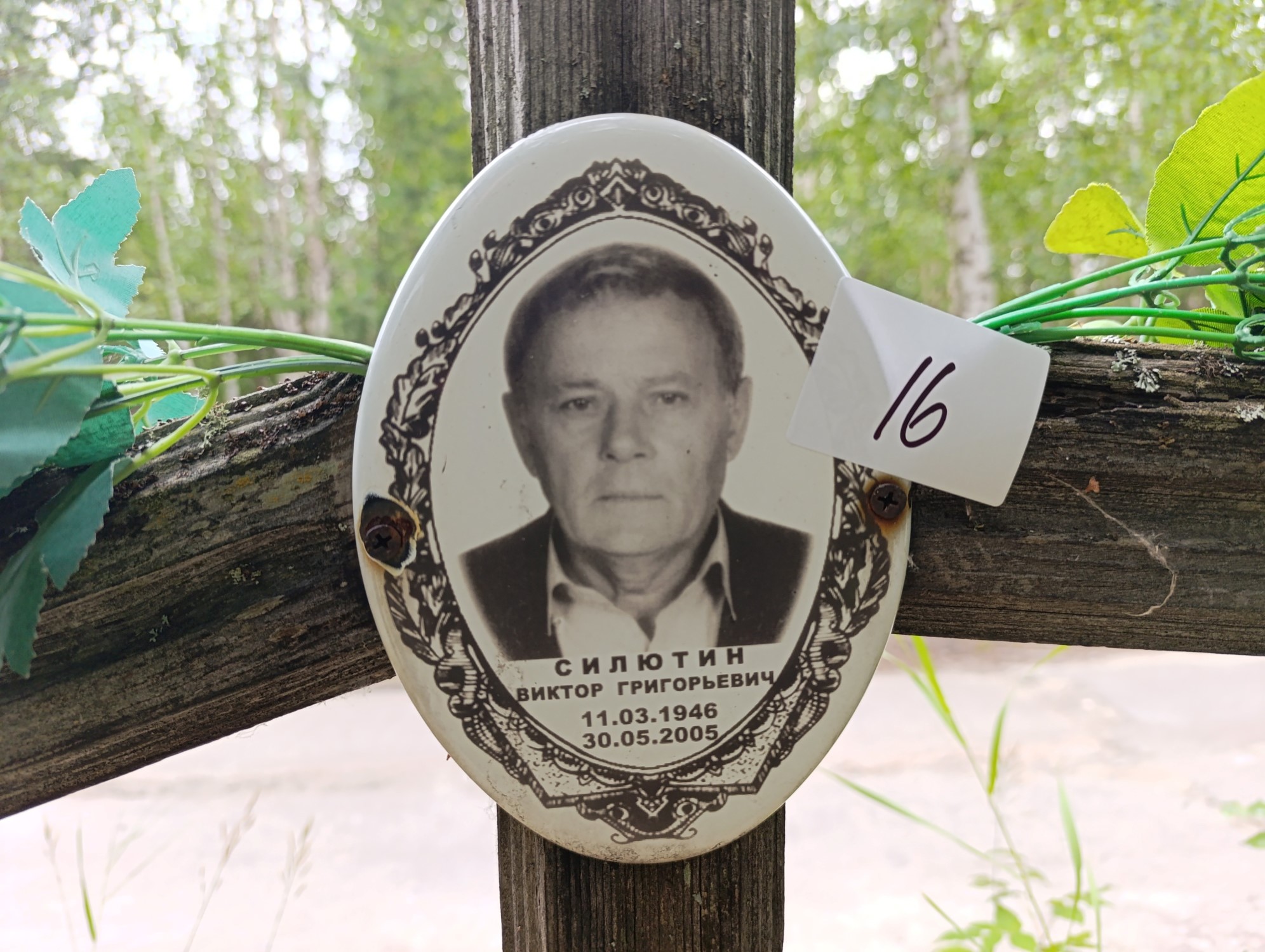 Силютин Виктор Григорьевич