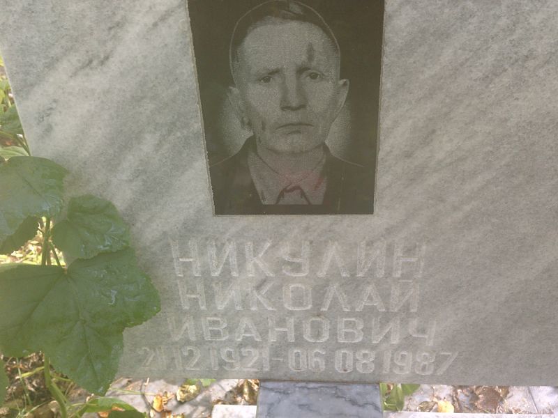 Никулин