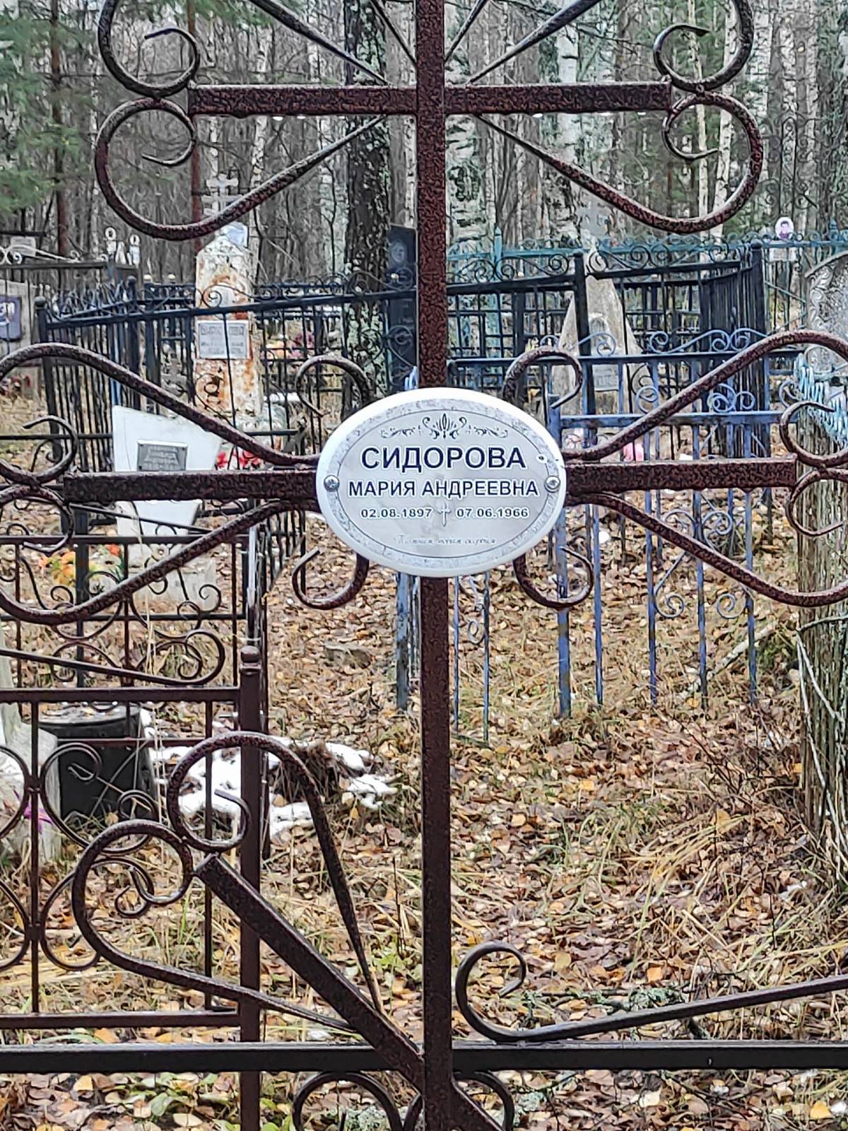 Сидорова Мария Андреевна