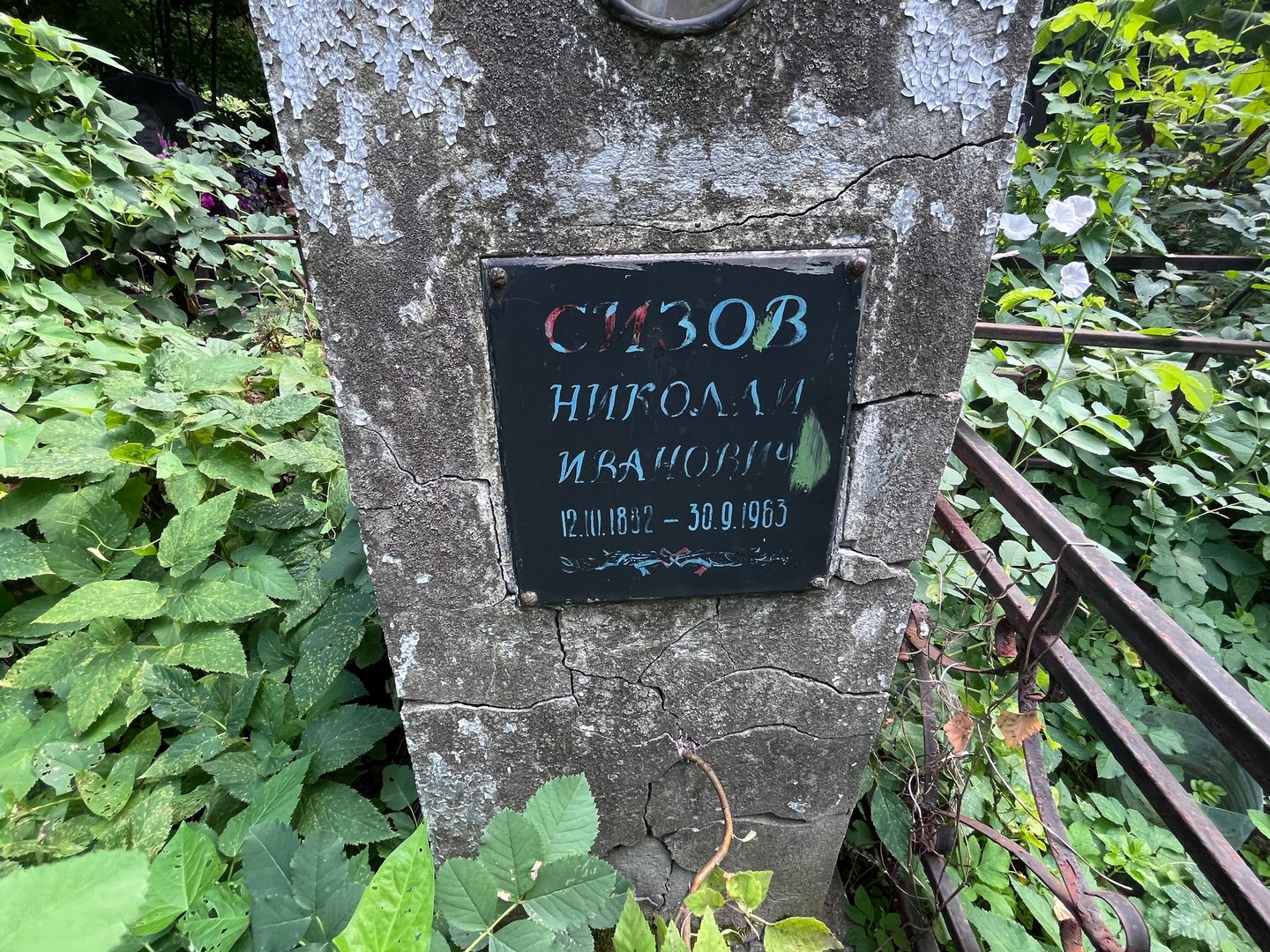 Сизов
