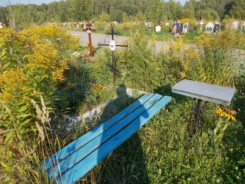 Барцева Анастасия Петровна