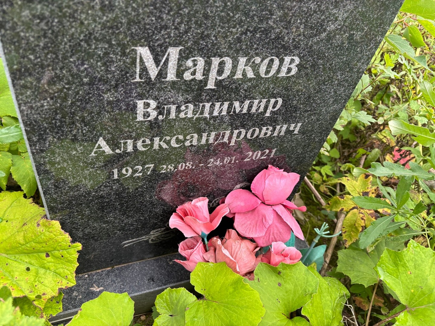 Марков