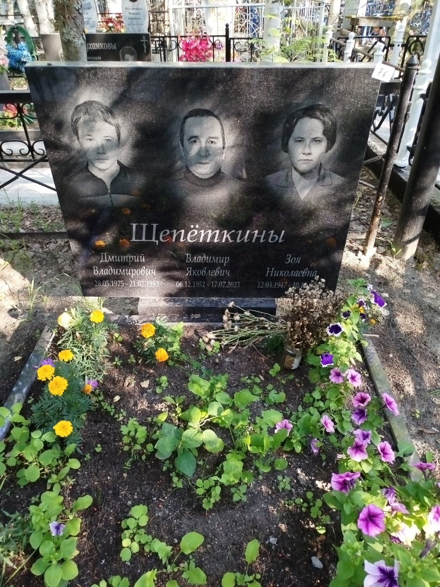 Щепёткин Дмитрий Владимирович