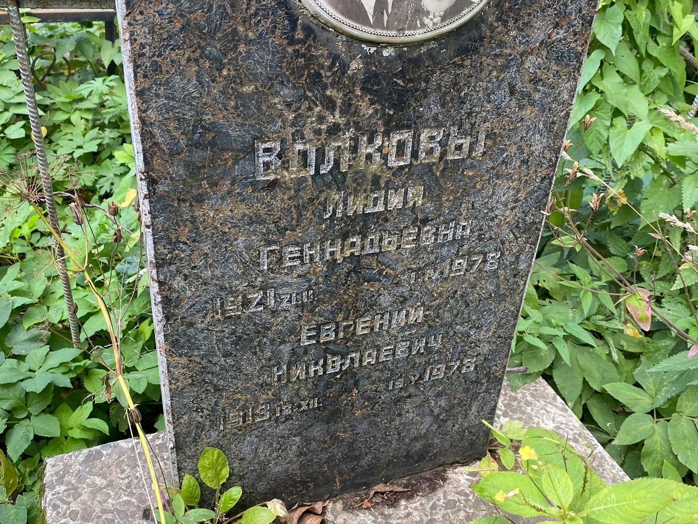 Волкова