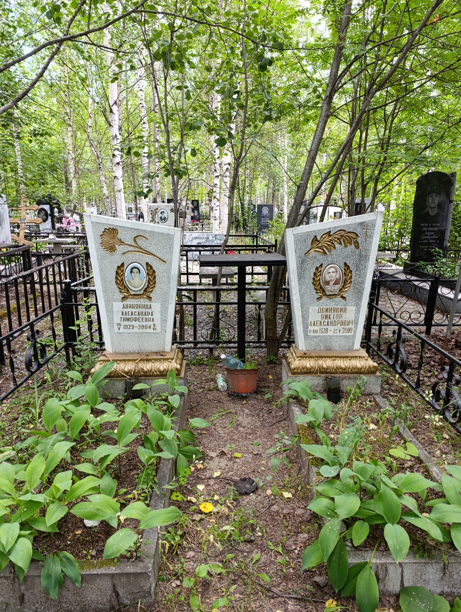 Двинянин Виктор Александрович
