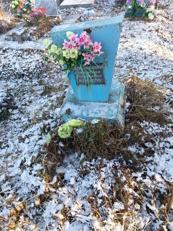 Перетягина Агриппина Васильевна