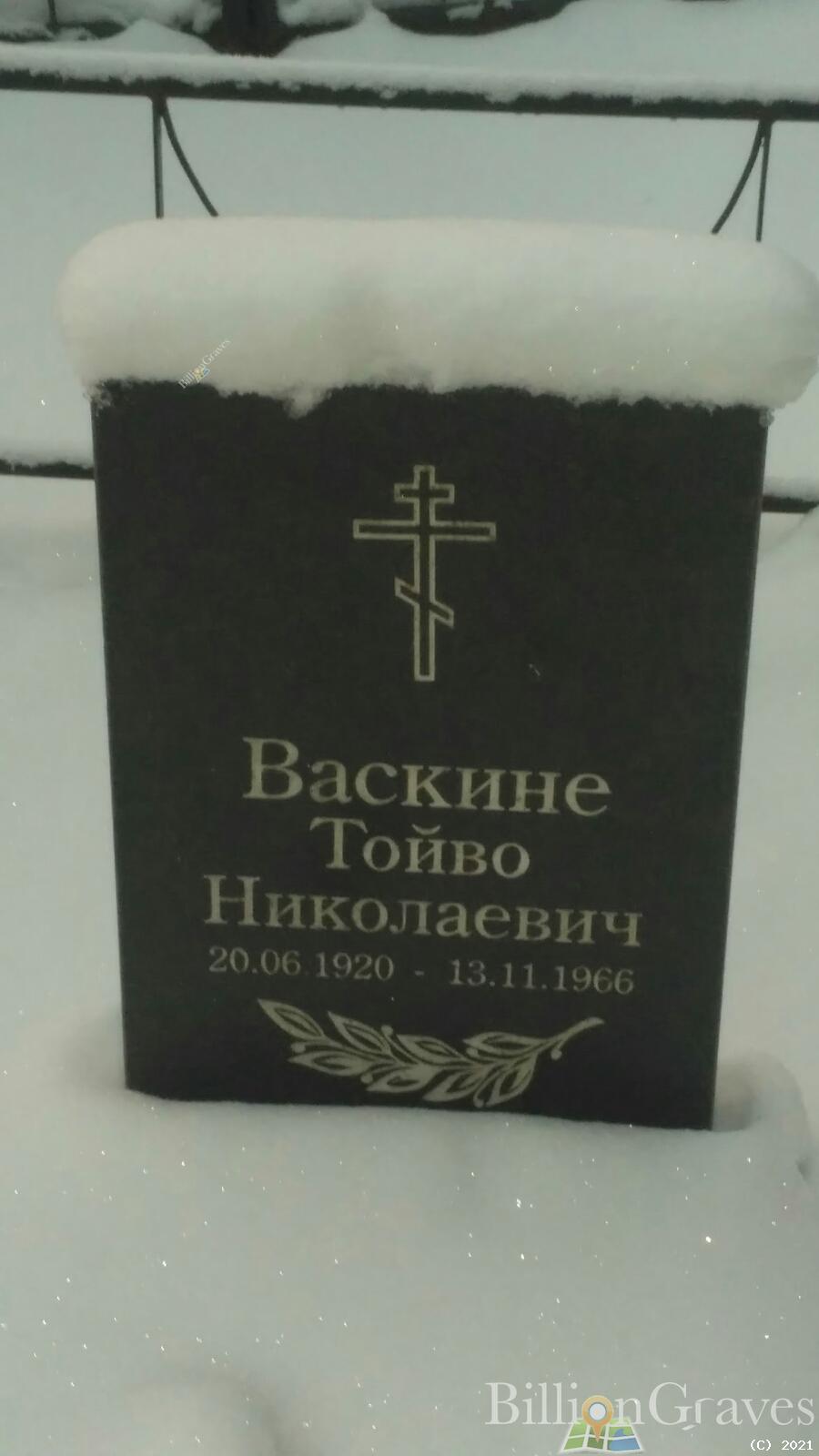 Васкине Тойво Николаевич