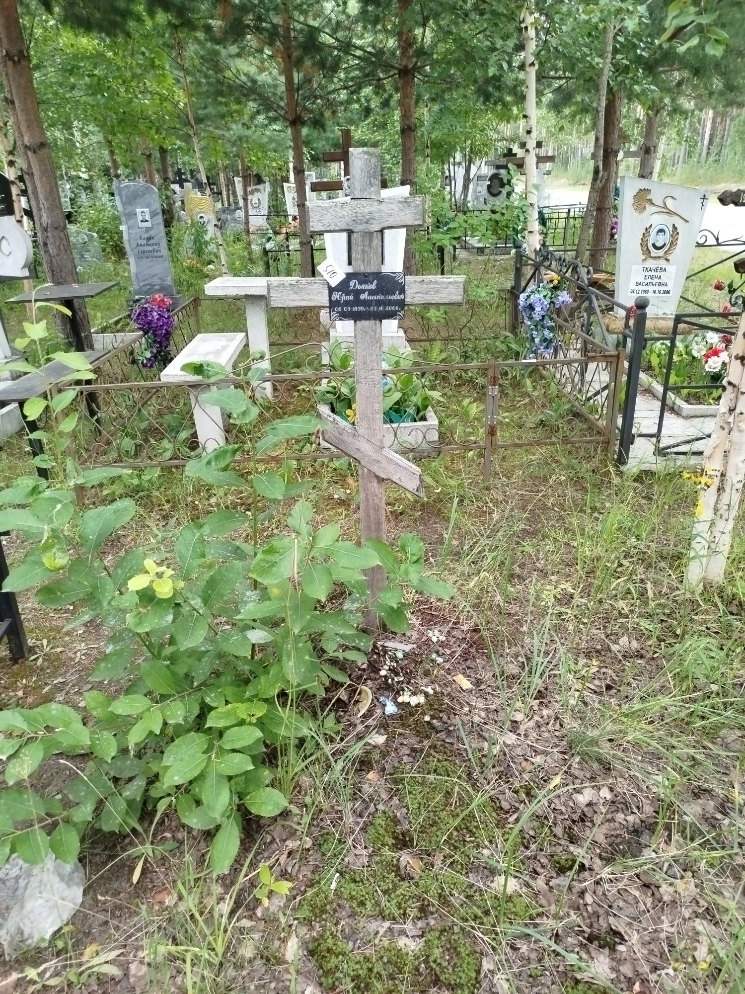 Дьяков Юрий Анатольевич