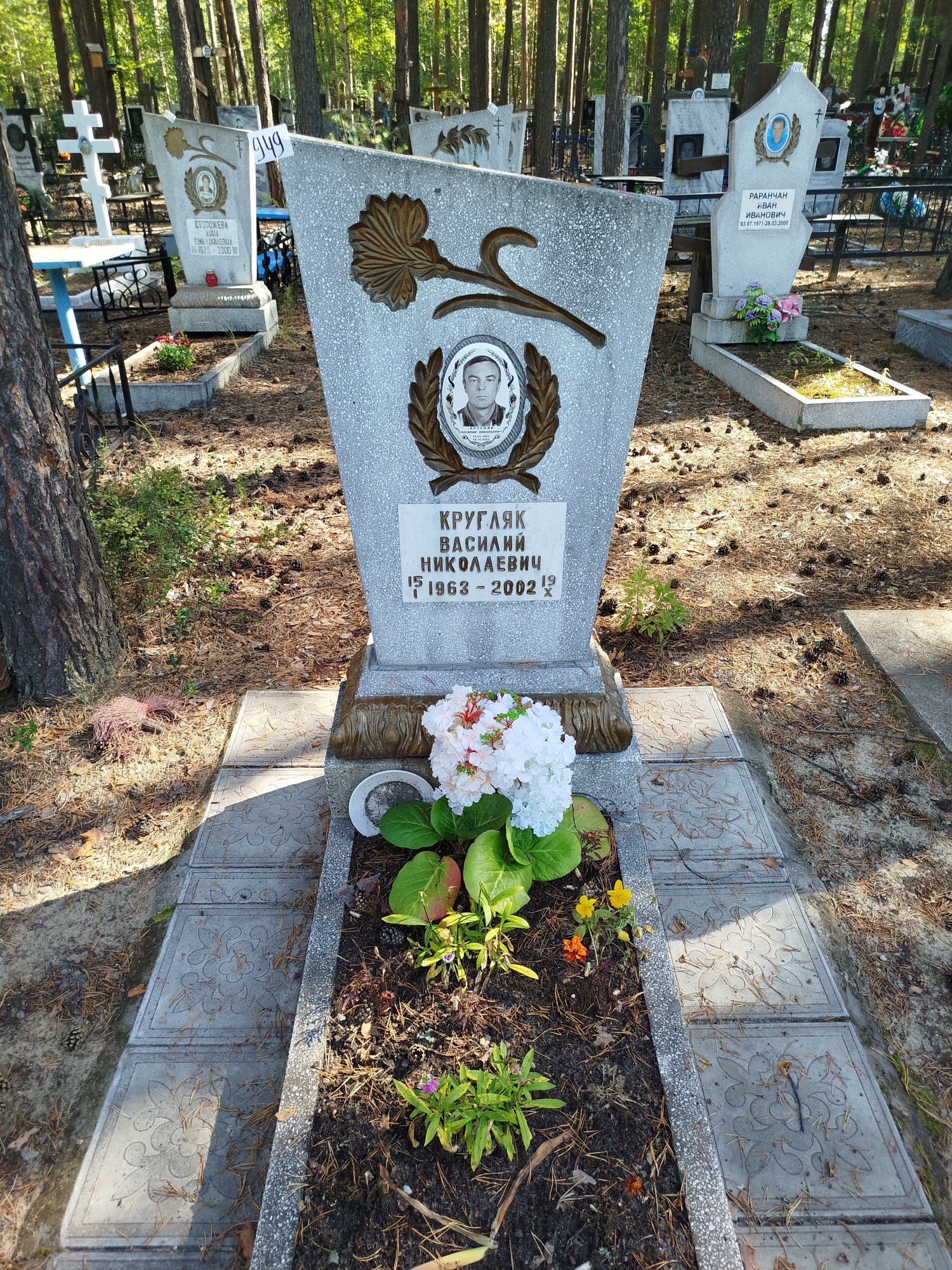 Кругляк Василий Николаевич