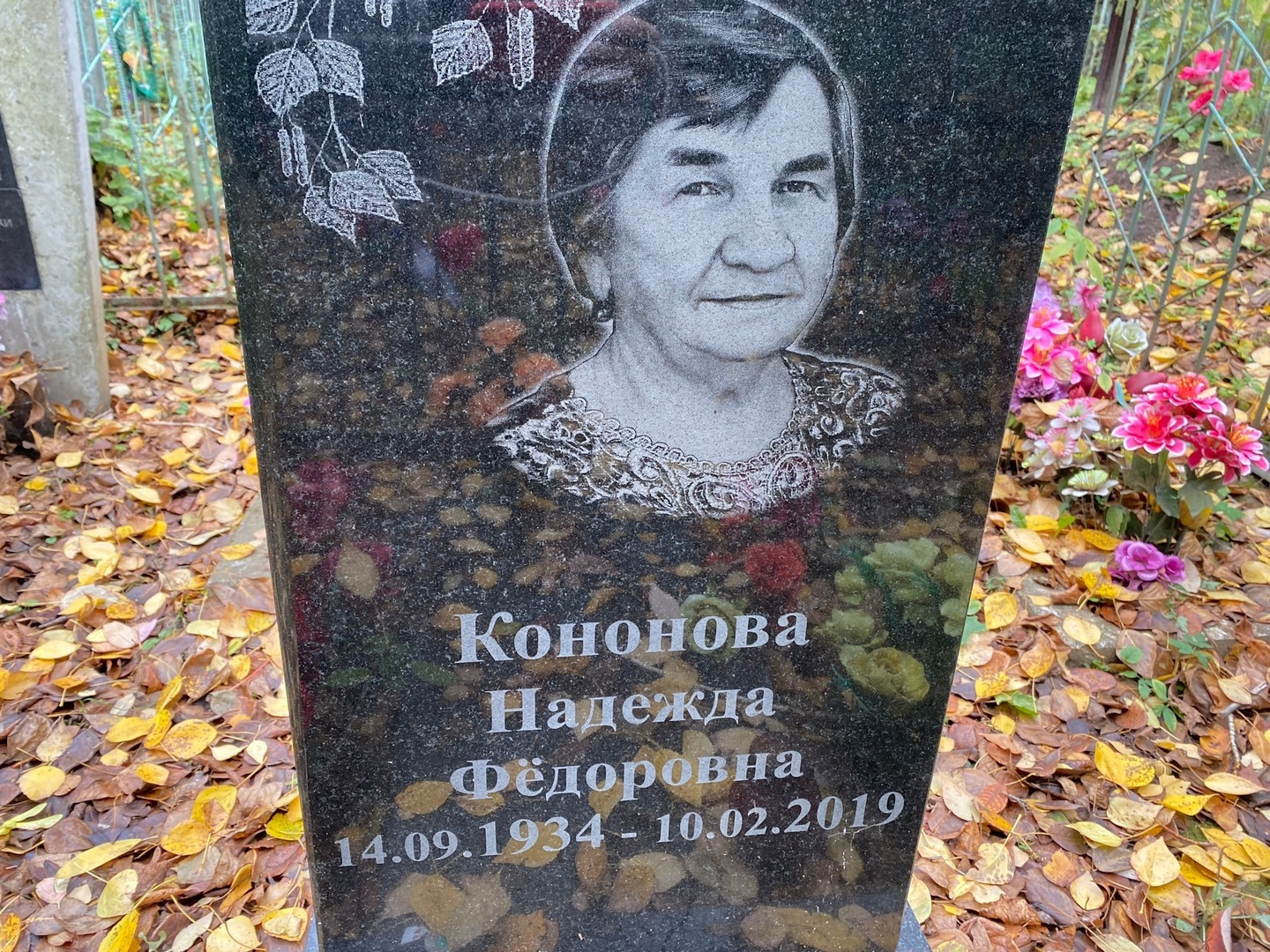 Кононова