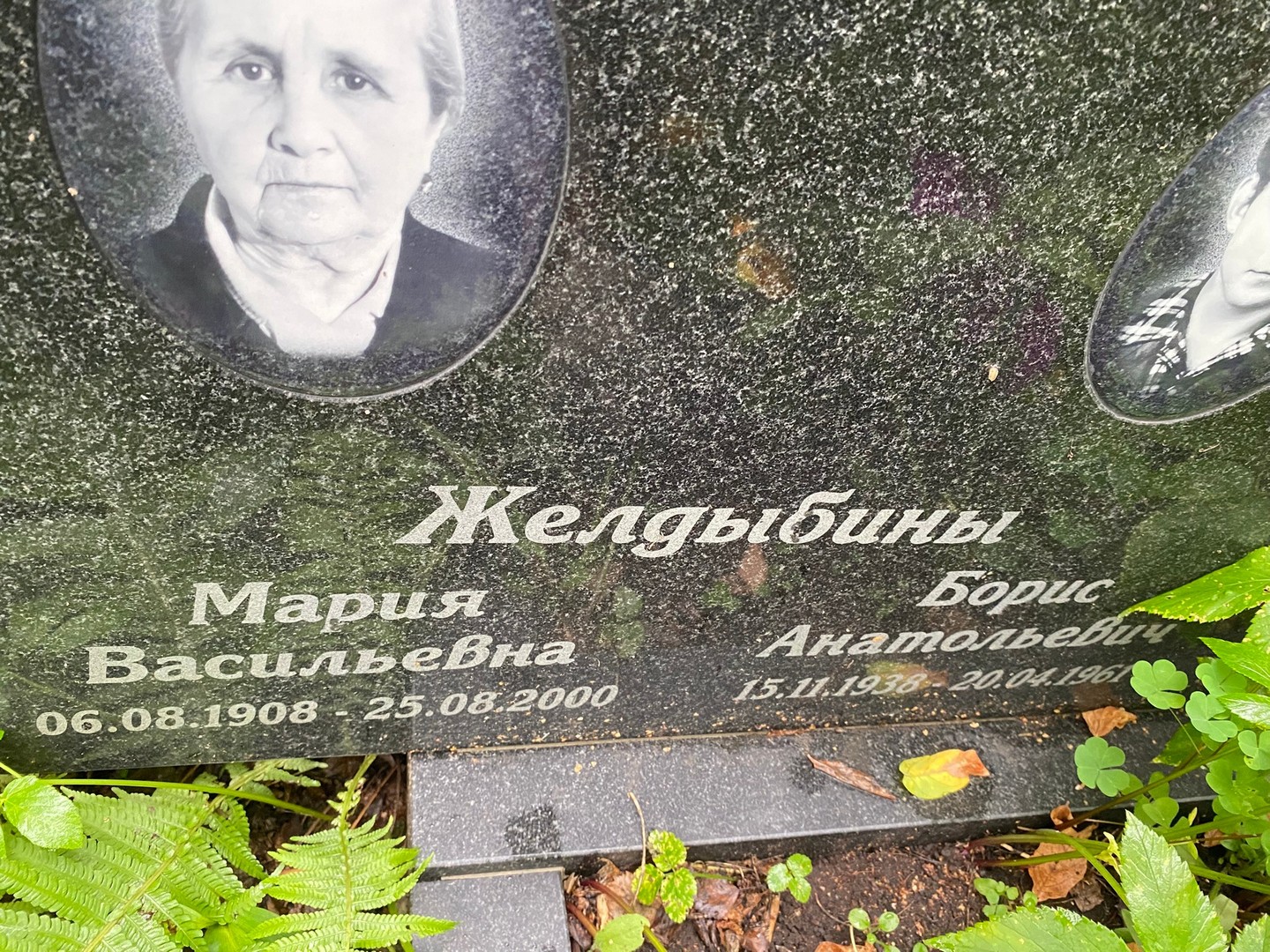 Желдыбина