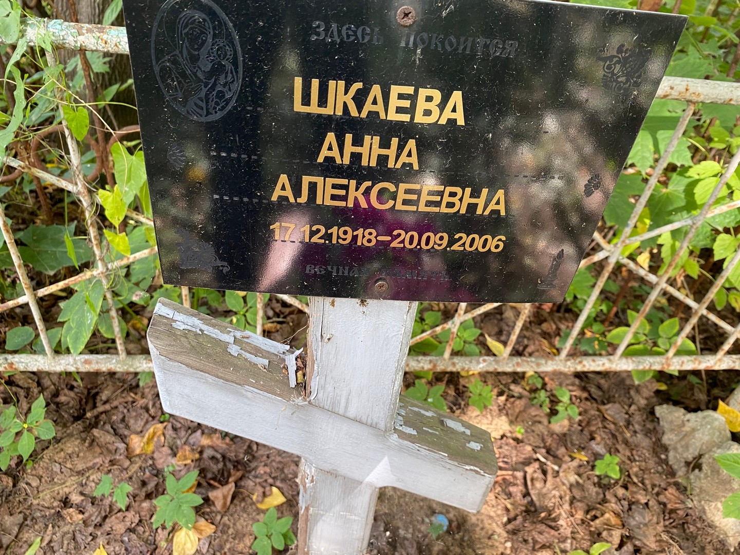 Шкаева