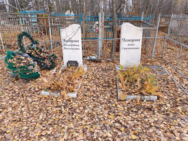 Чинцова Валентина Васильевна