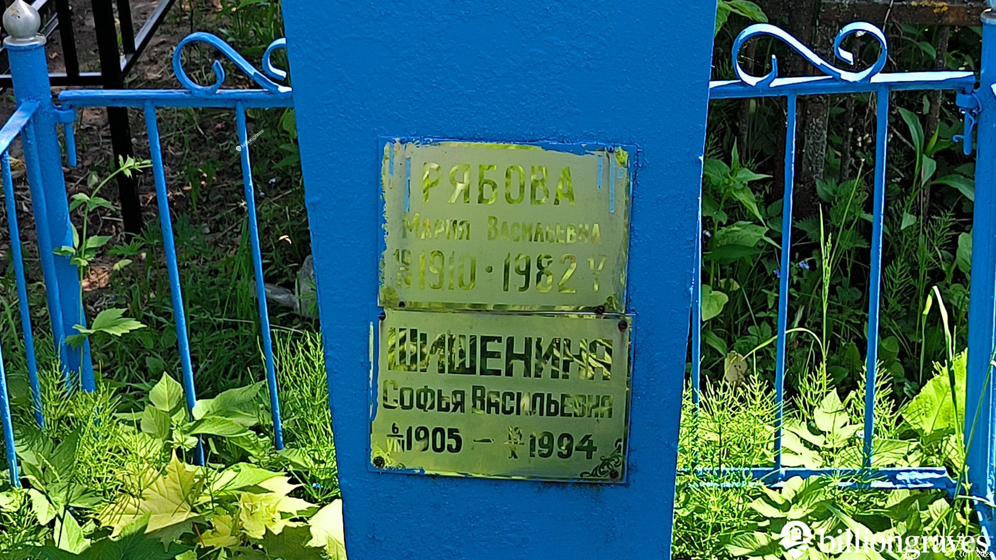 Шишенина Софья Васильевна