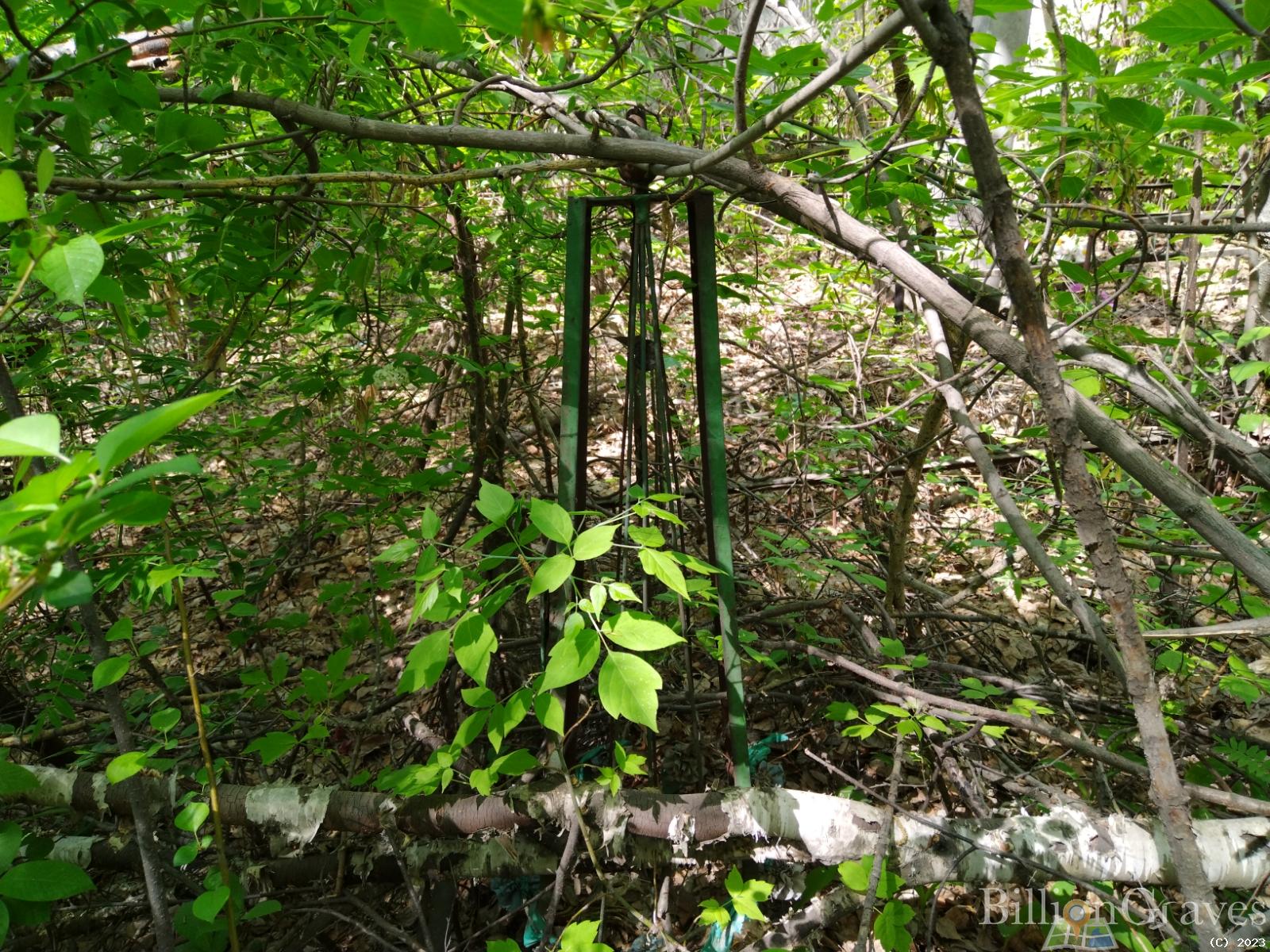 Залманович Иосиф Абрамович