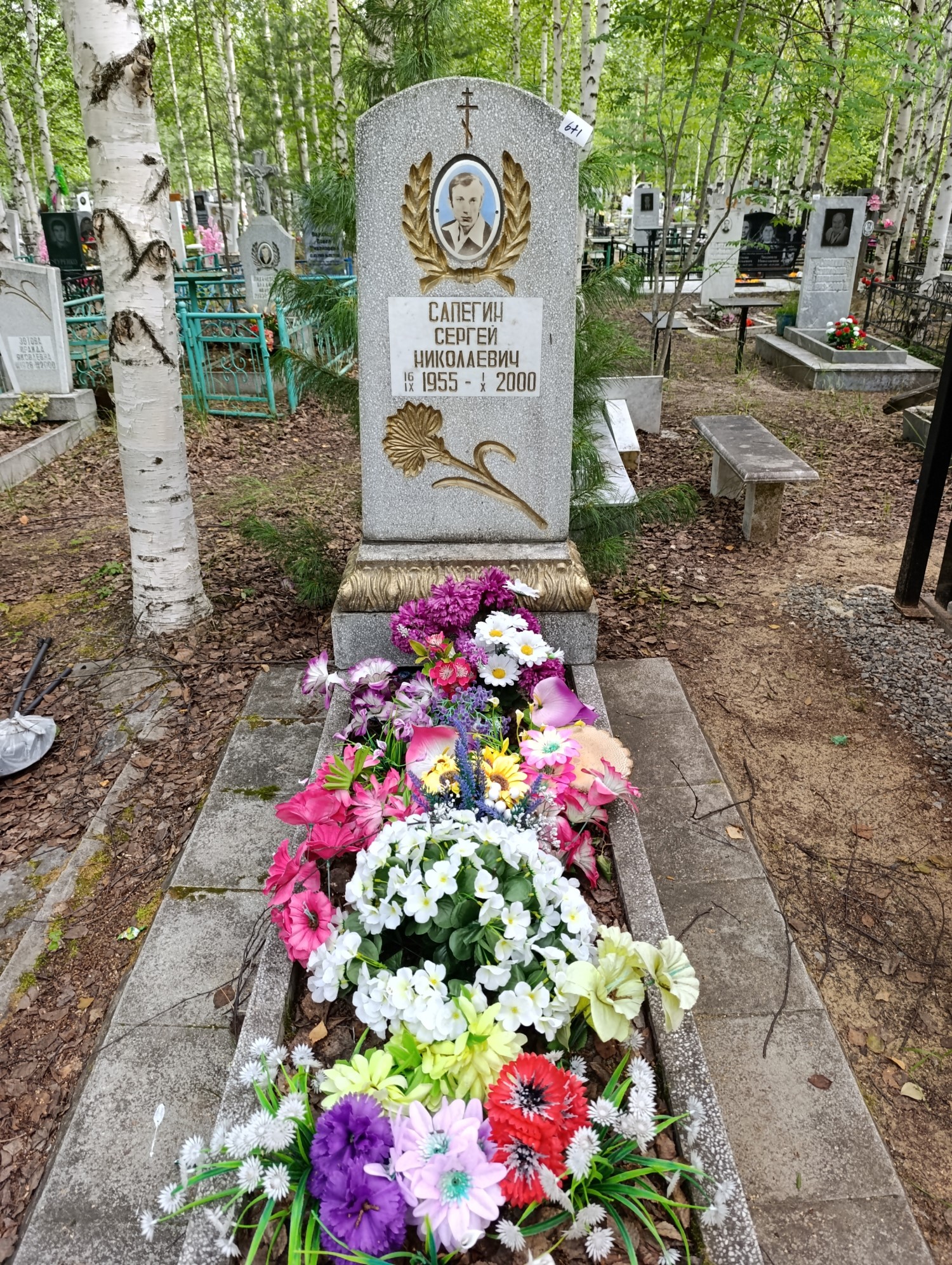 Сапегин Сергей Николаевич