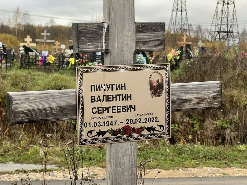 Пичугин