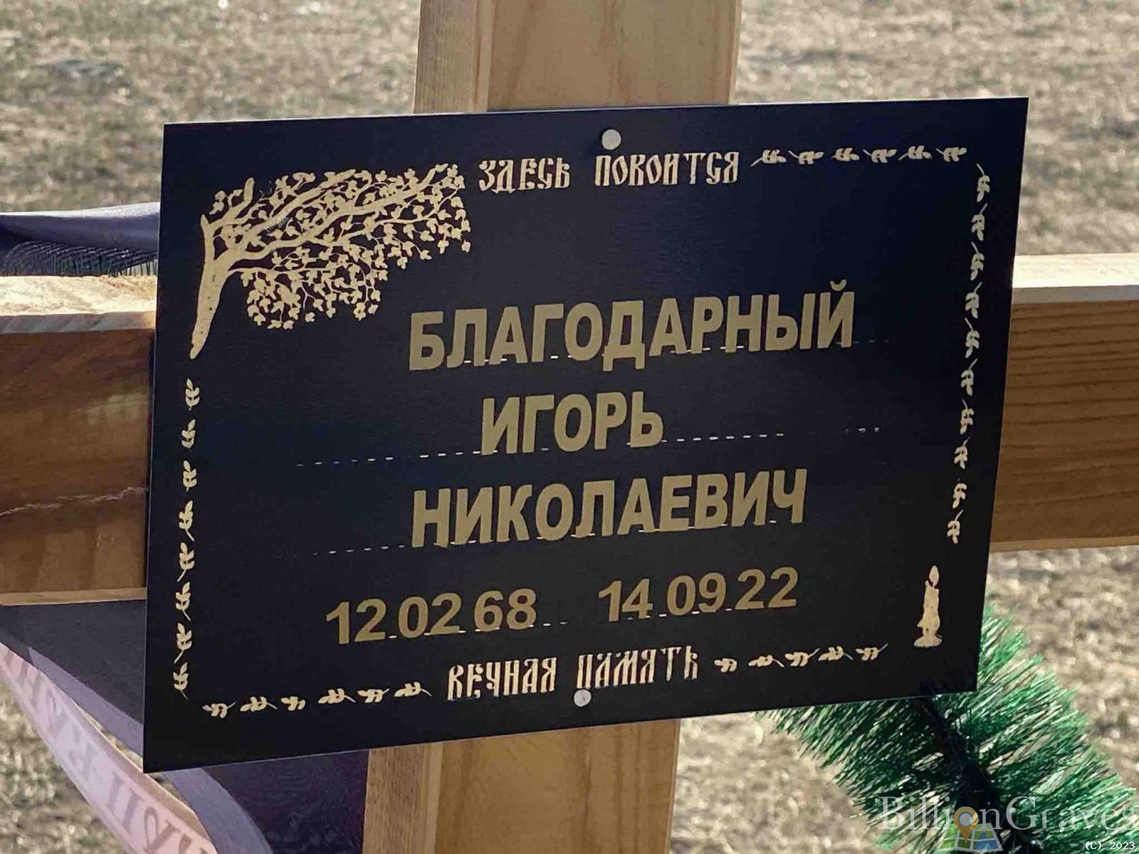 Благодарный Игорь Николаевич