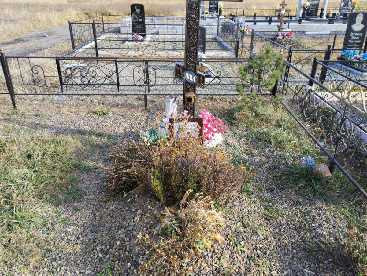 Низовцев Николай Евгеньевич