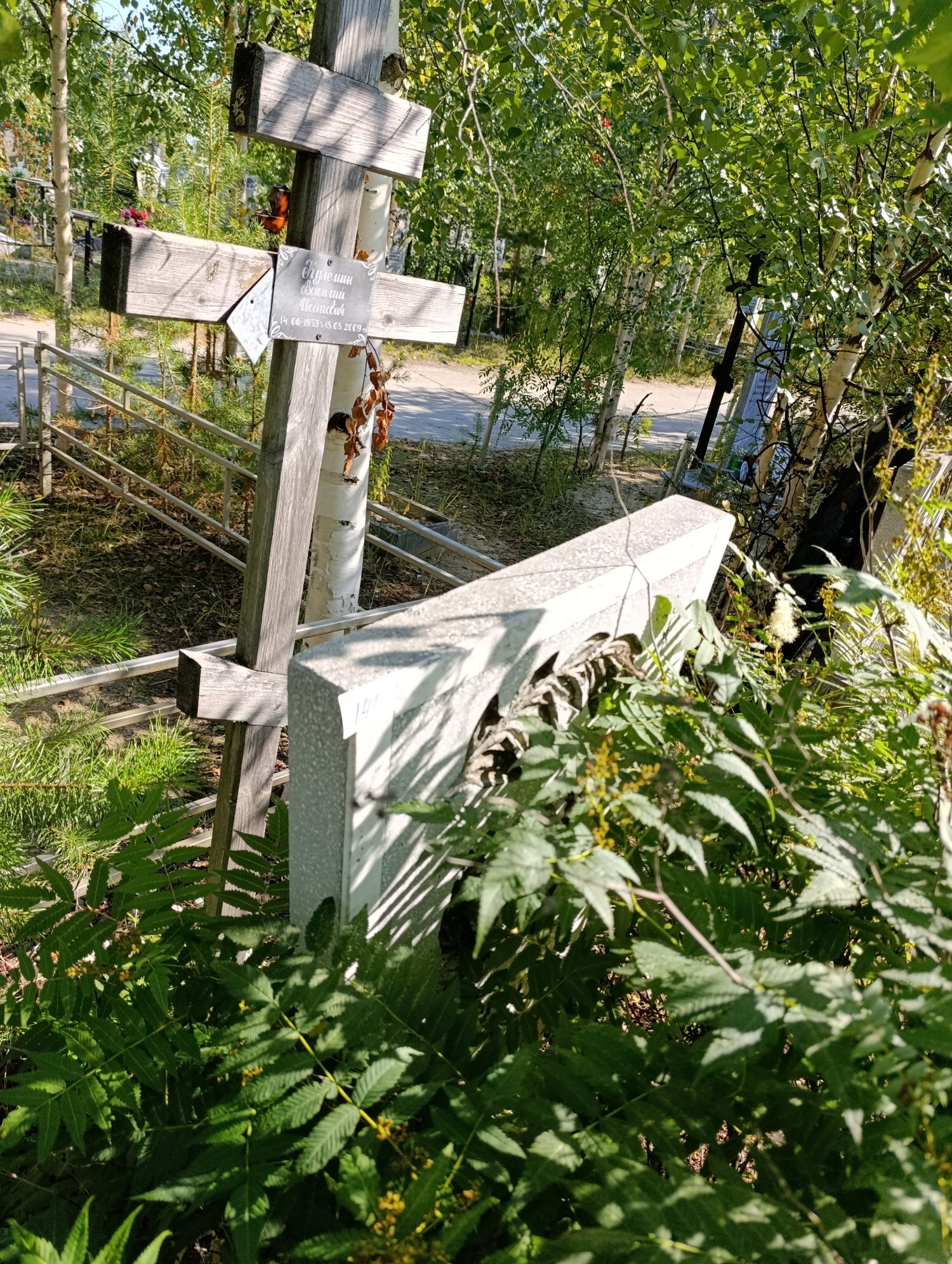 Кулемин Василий Иванович