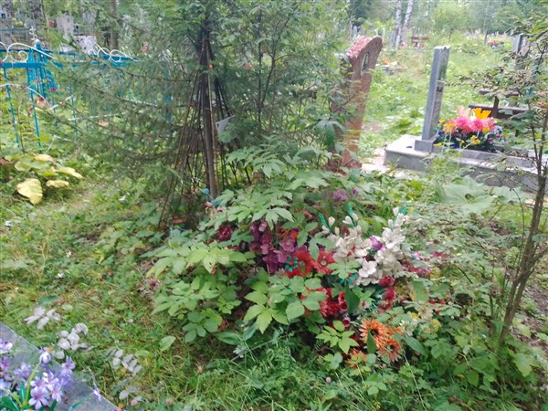 Паньшина Вера Ивановна