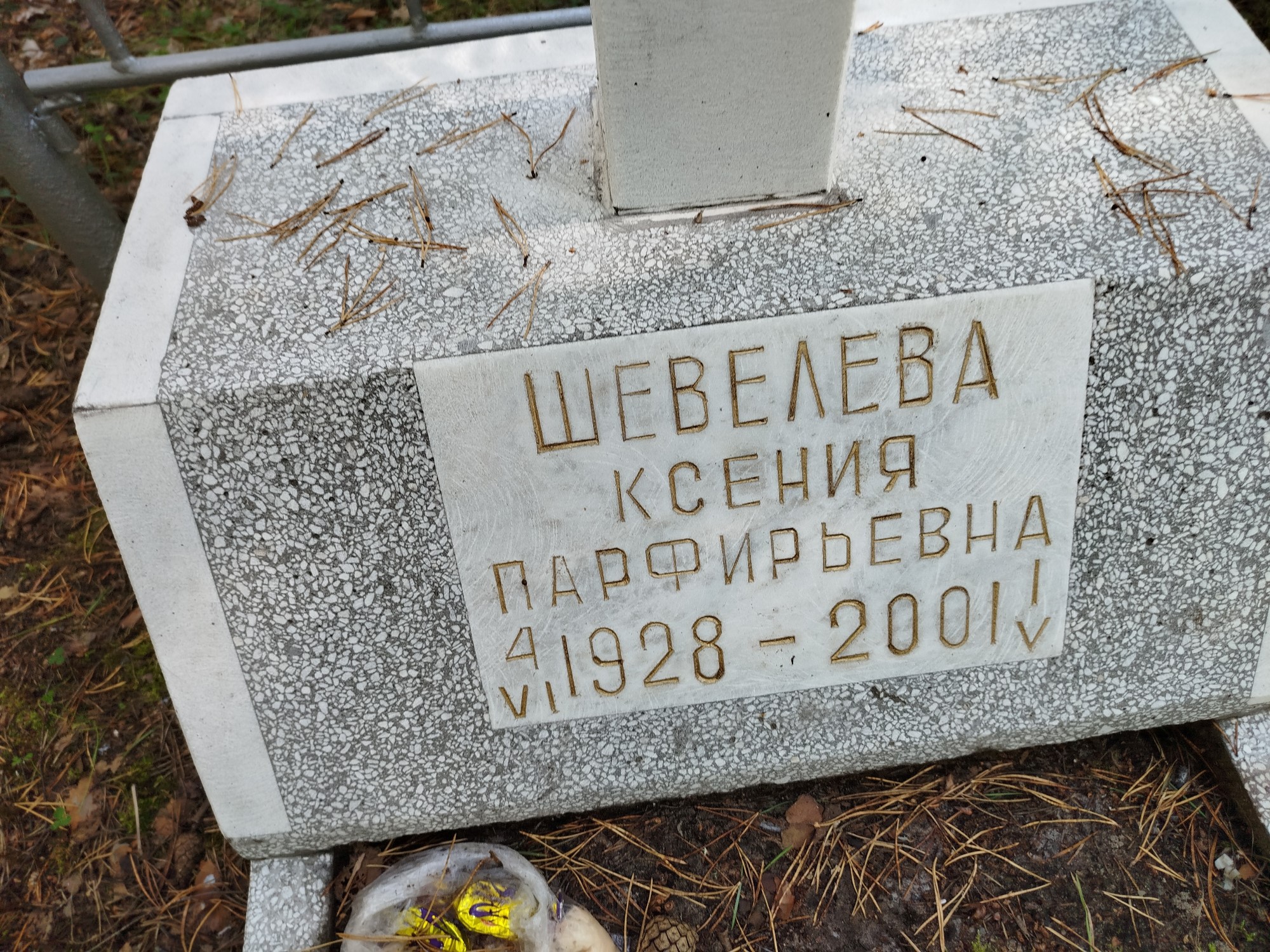Шевелева Ксения Парфирьевна