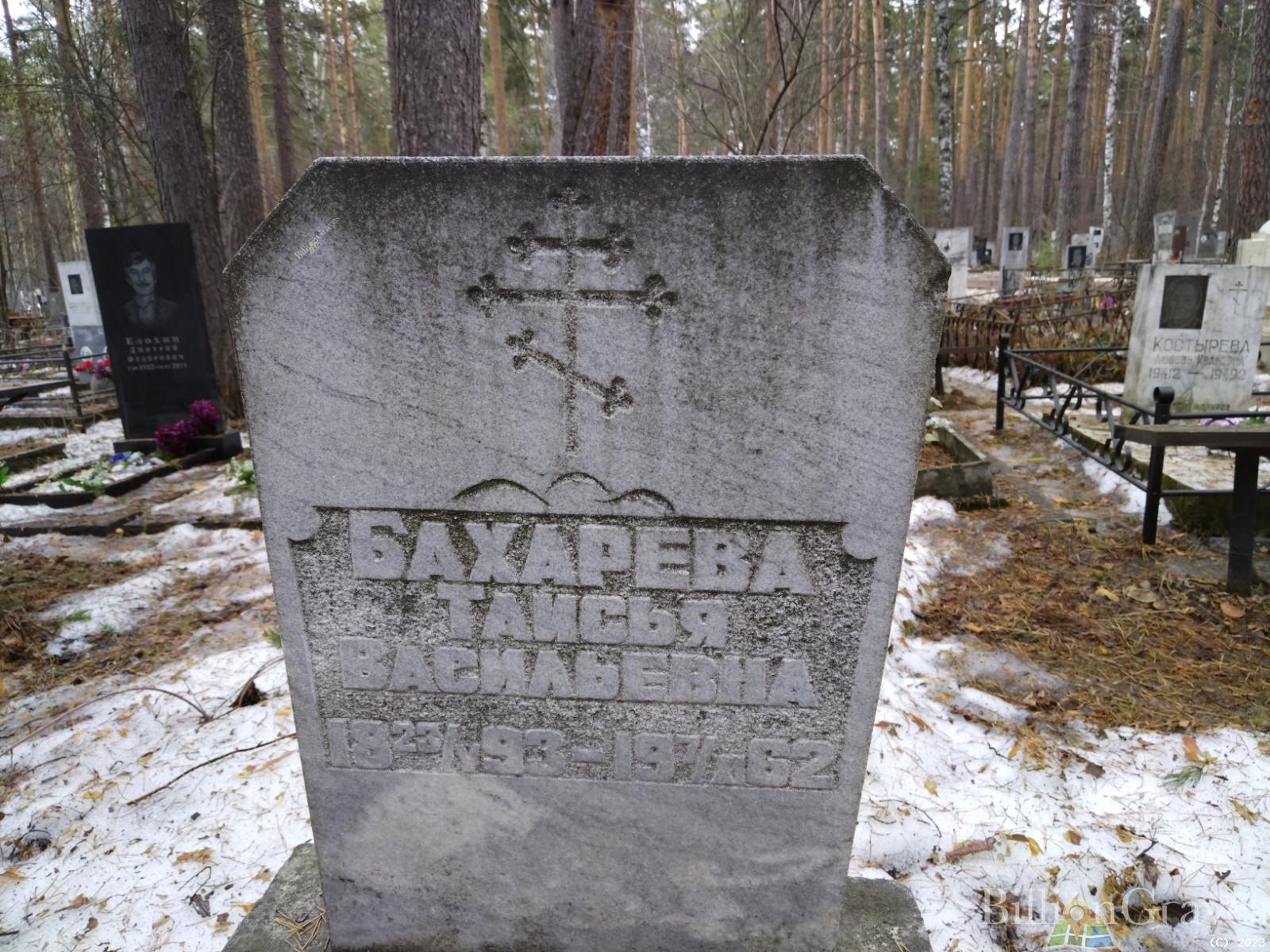 Бахарева Таисья Васильевна