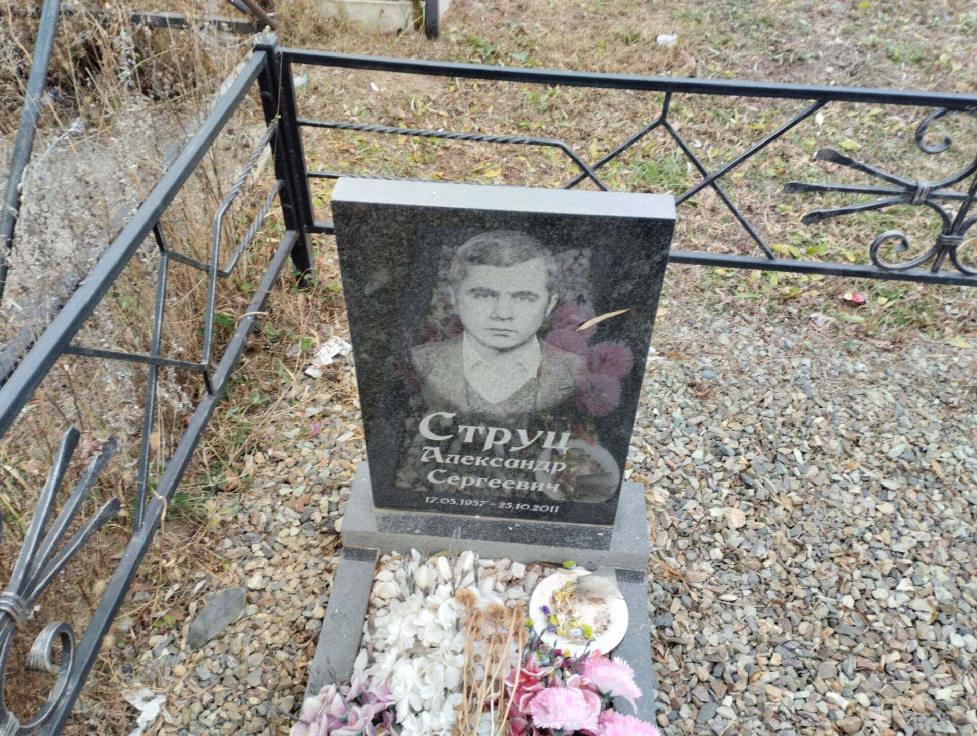 Струц Александр Сергеевич