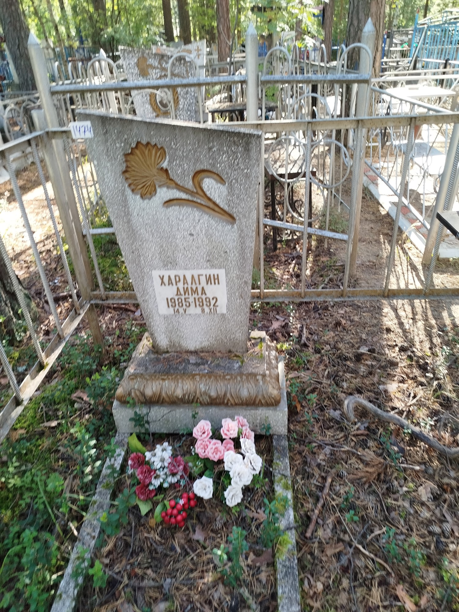 Харалгин Дима
