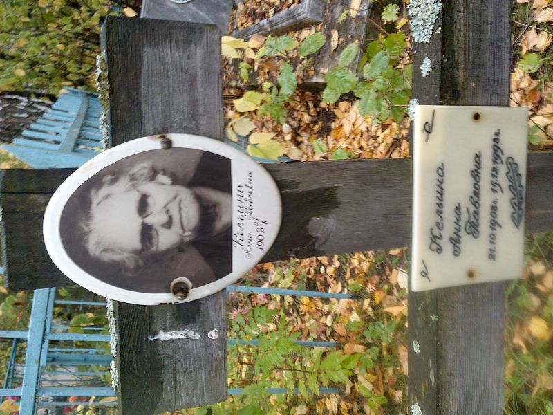 Кельина