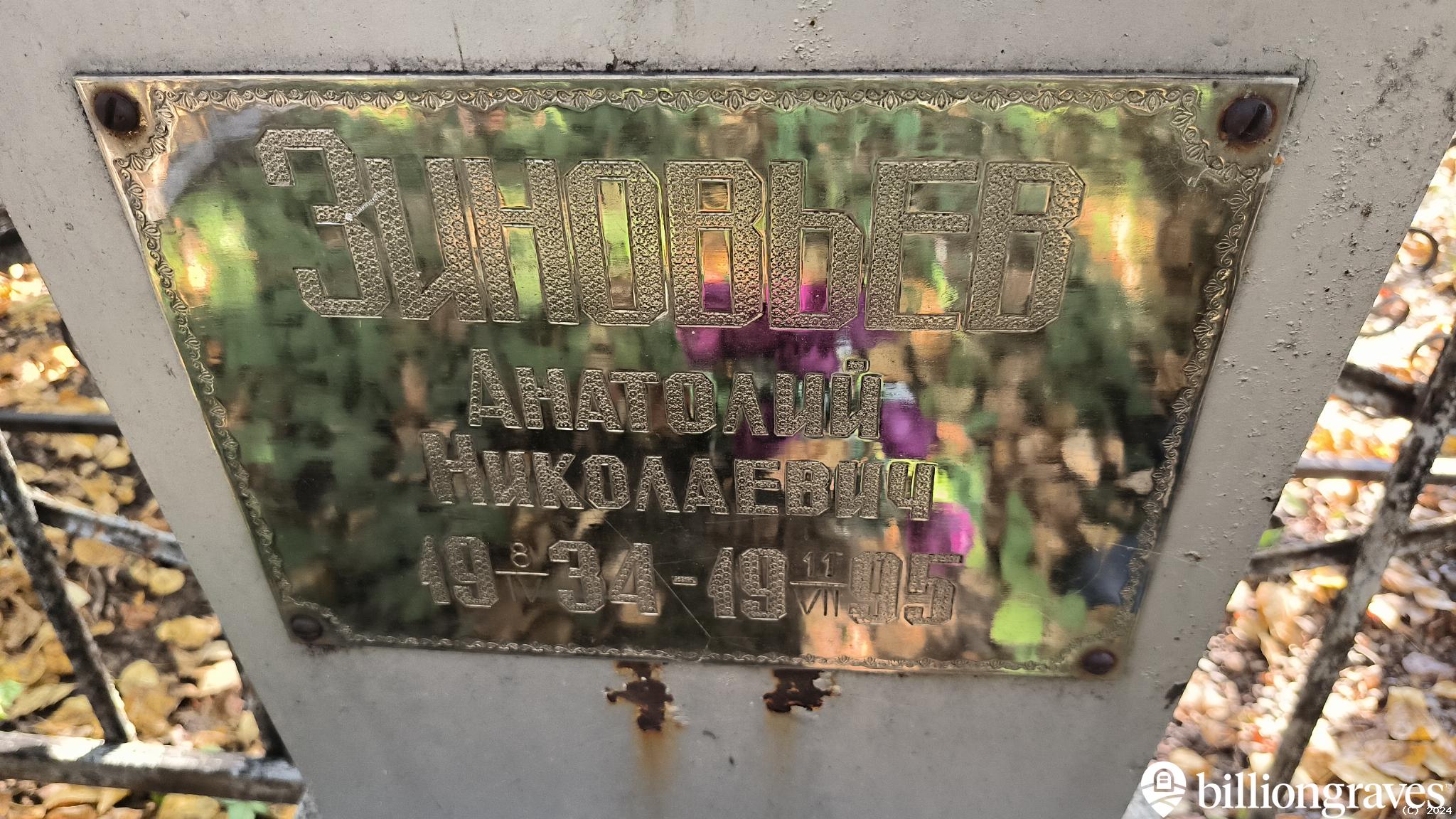 Зиновьев Анатолий Николаевич
