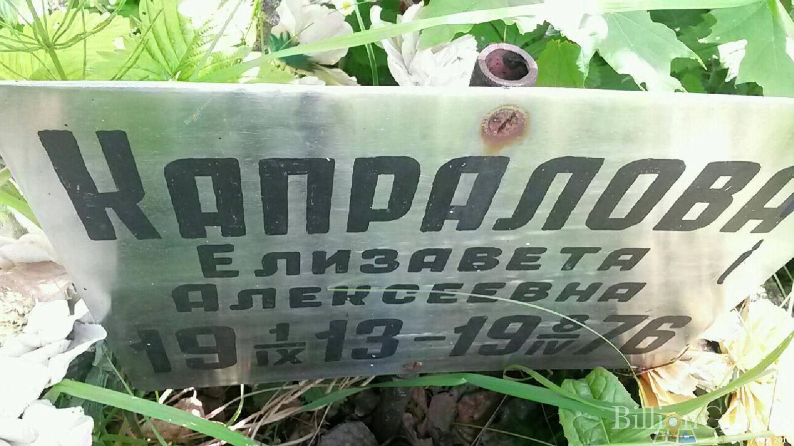 капралова елизавета алексеевна