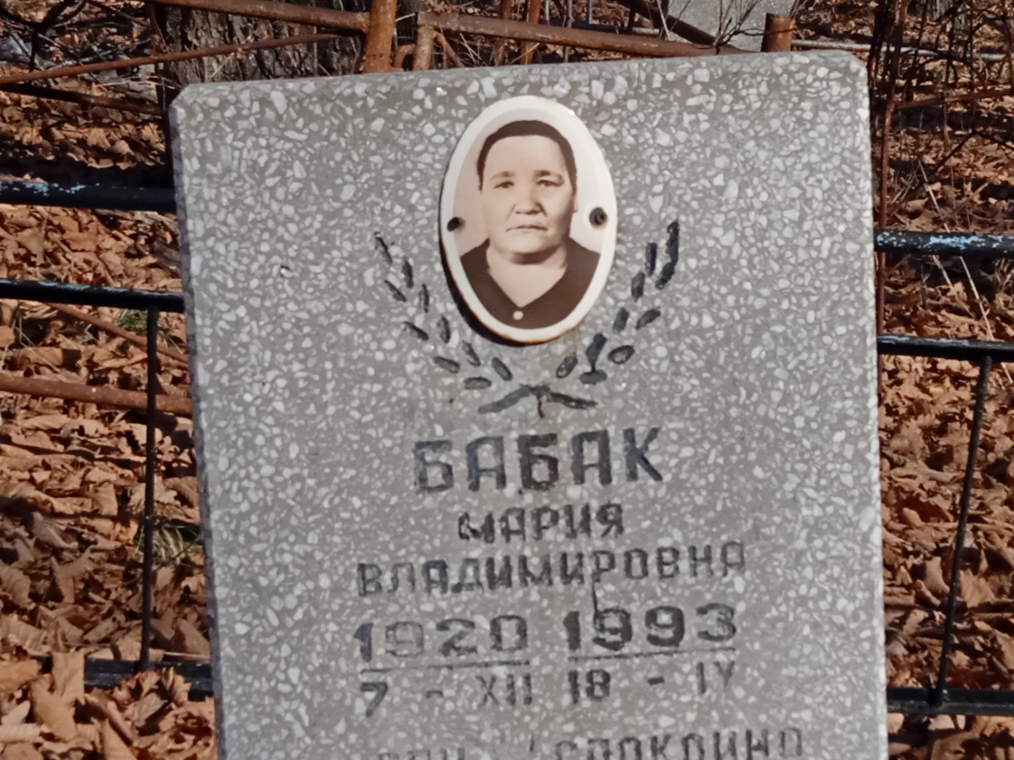 Бабак Мария Владимировна