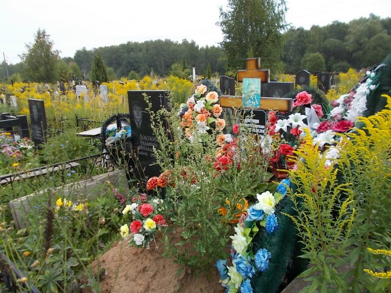 Докукин Александр Владимирович