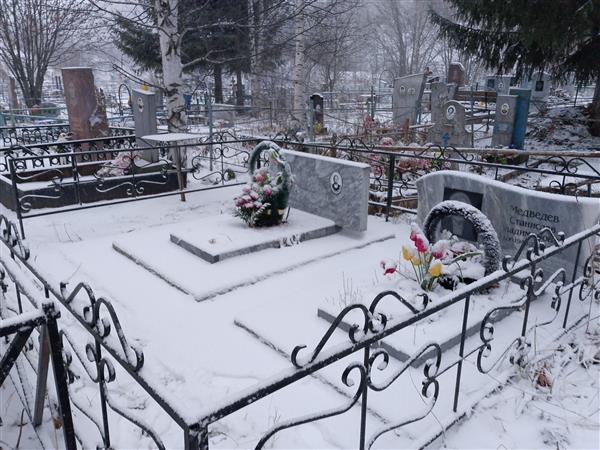 Медведева Анна Владимировна