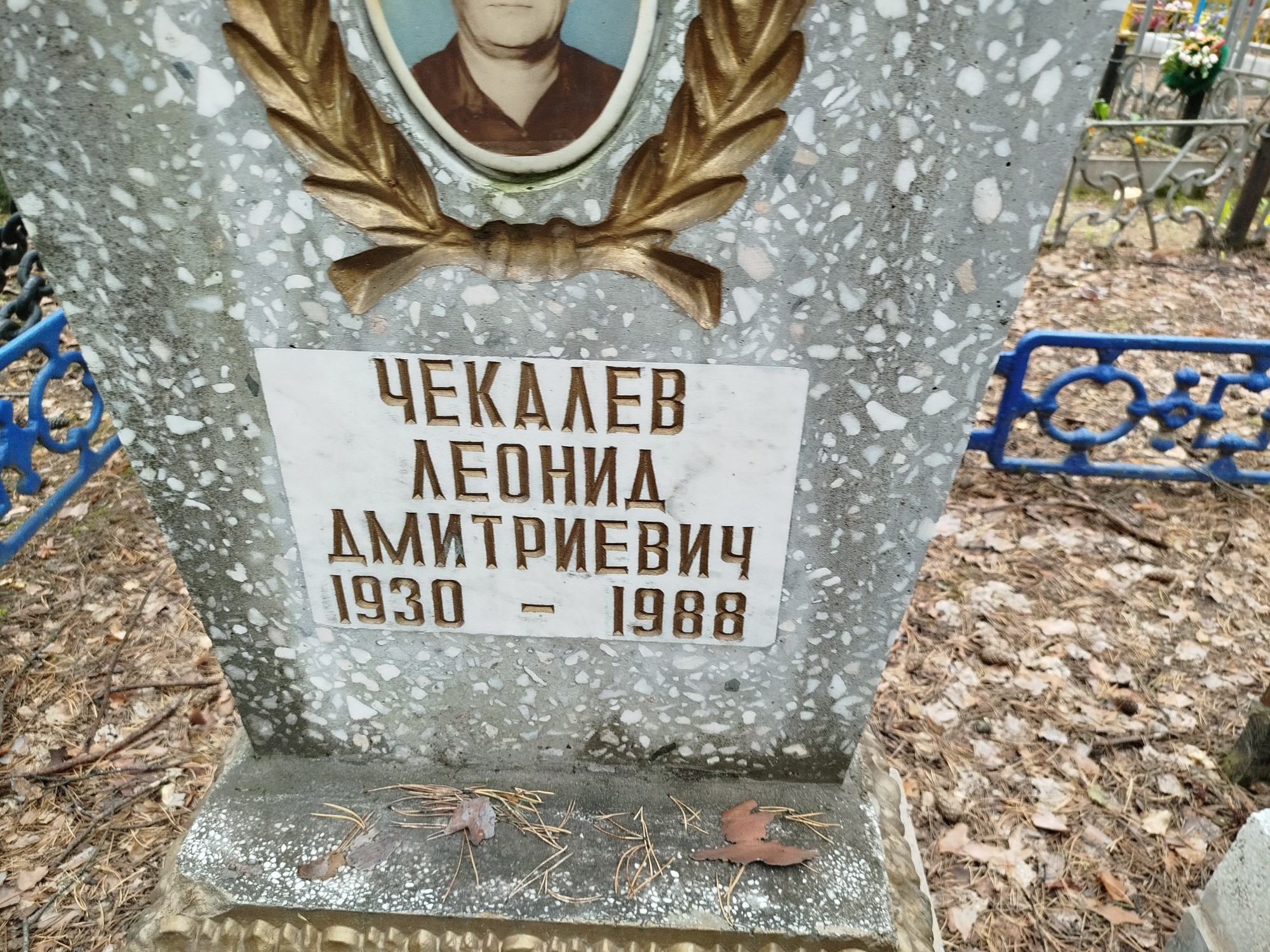 Чекалев Леонид Дмитриевич