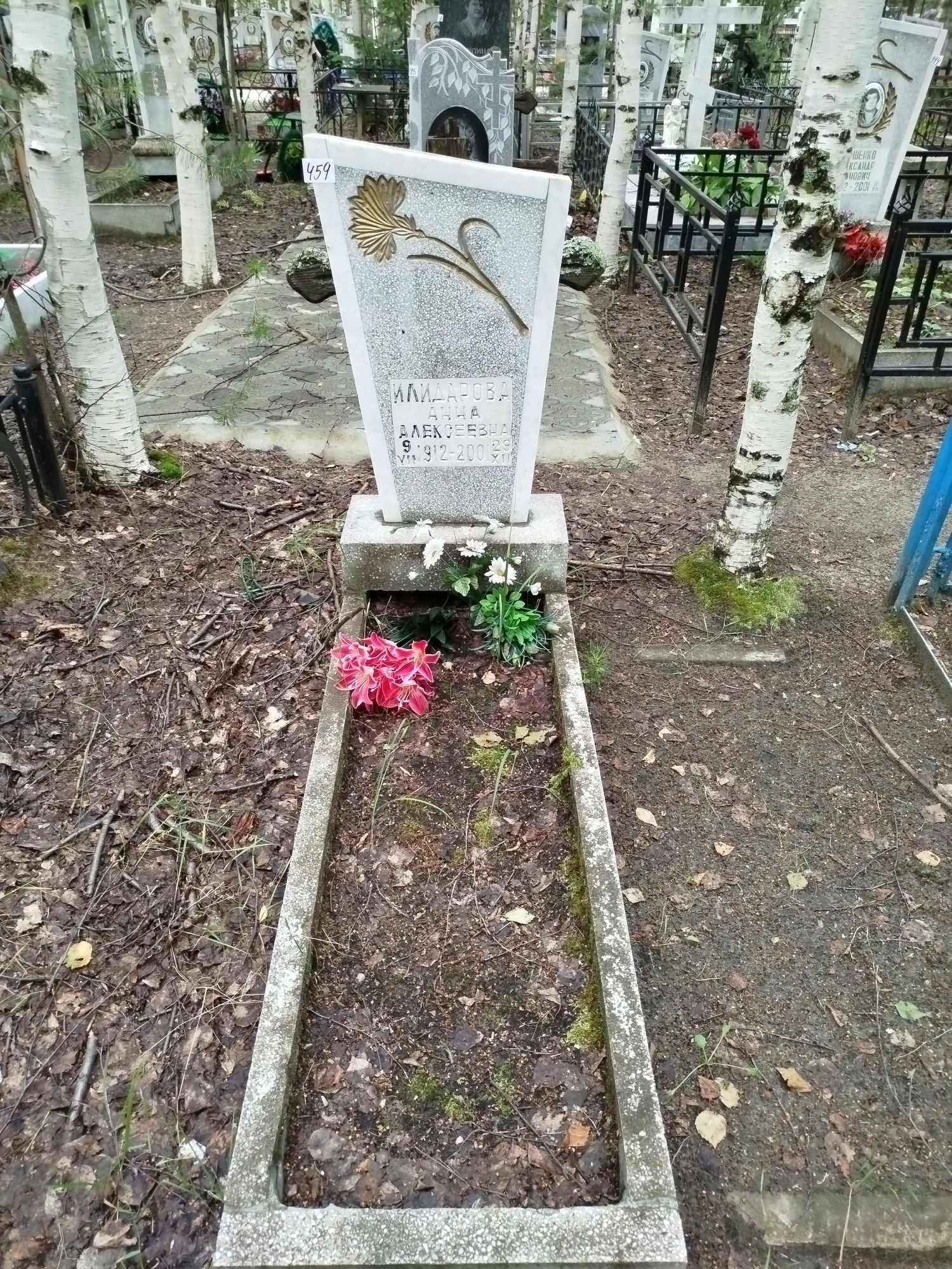 Илидарова Анна Алексеевна
