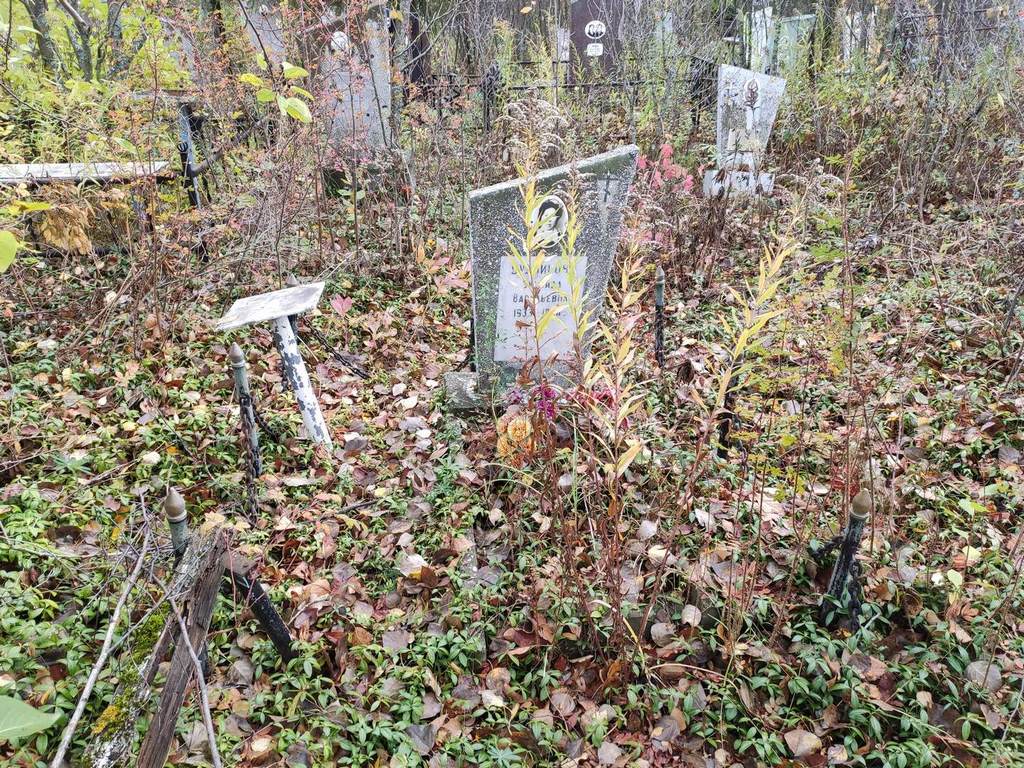 Будникова Зинаида Васильевна