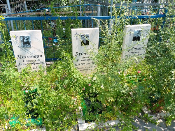 Бубнович Анна Викторовна