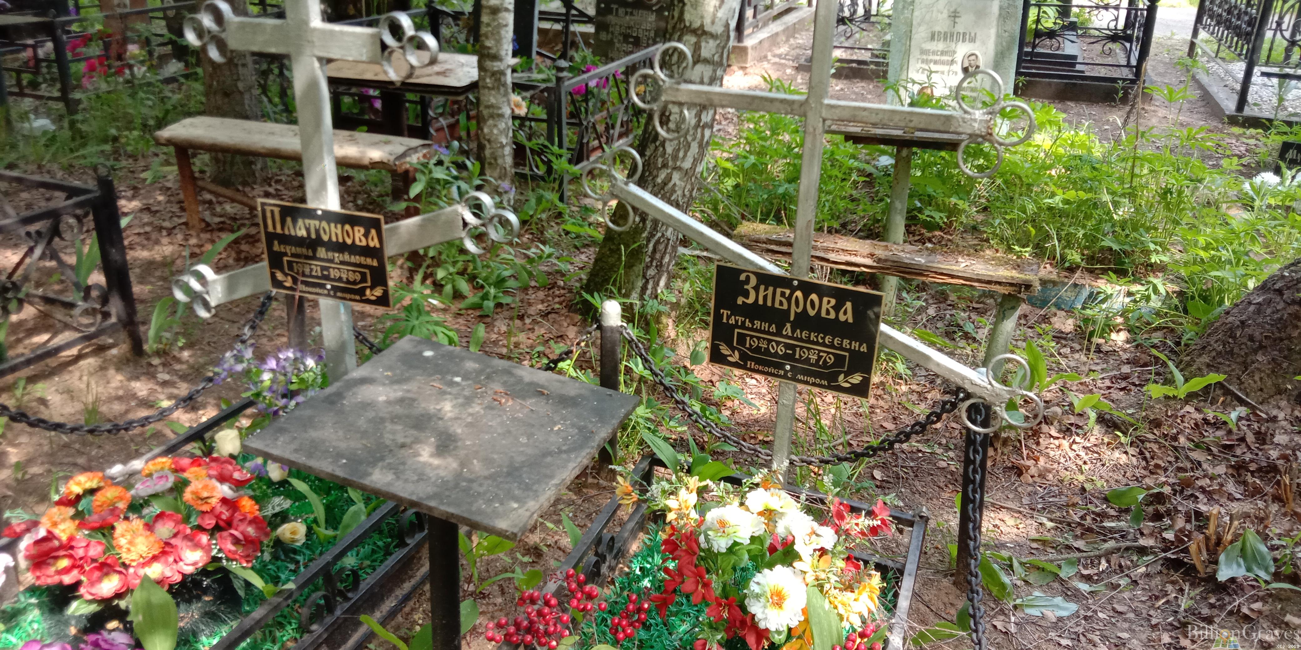 Зиброва Татьяна Алексеевна