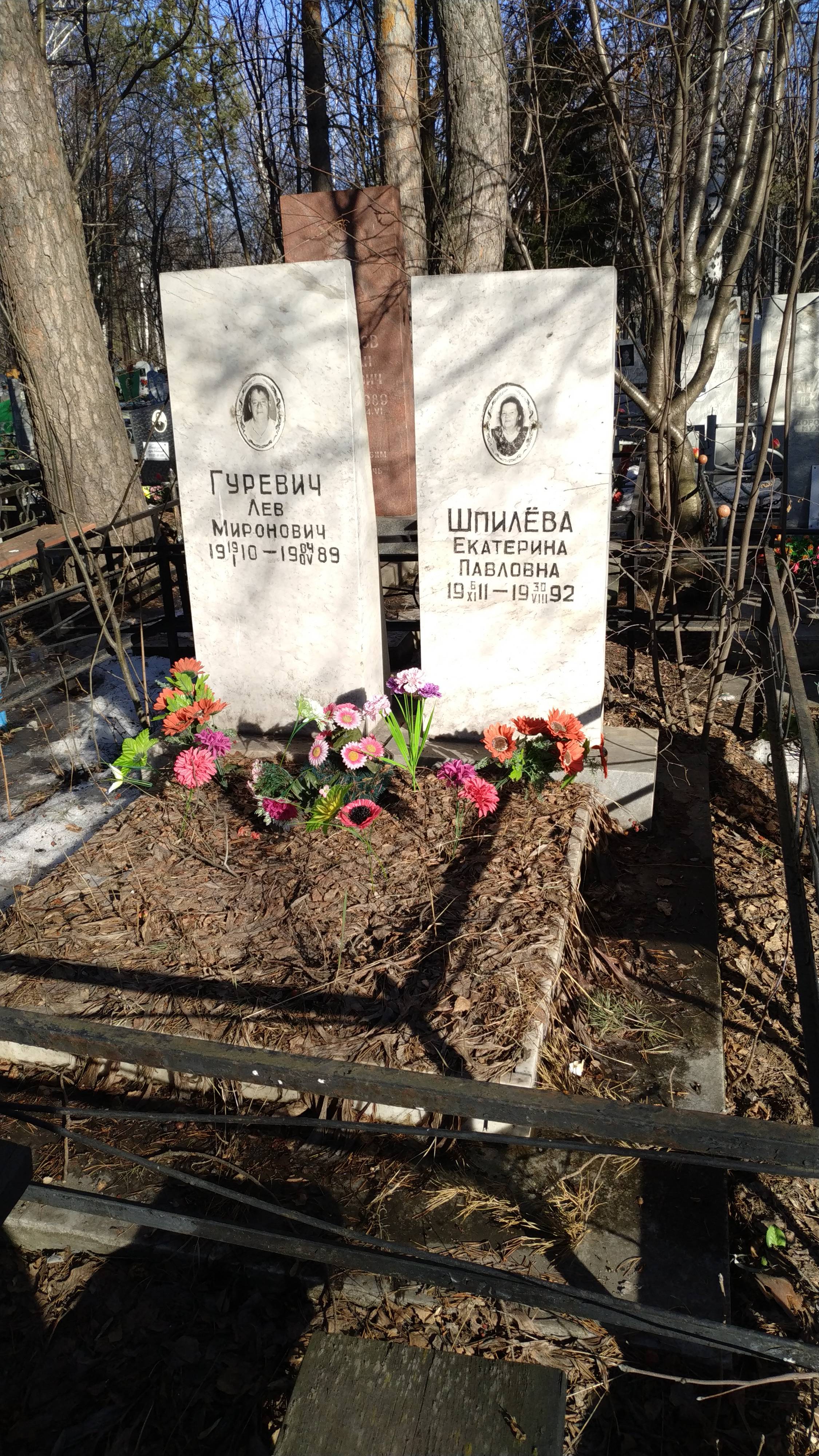Гуревич Лев Миронович