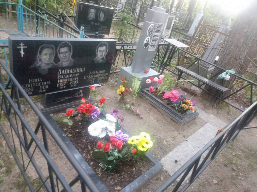 Давыдов Анатолий Владимирович
