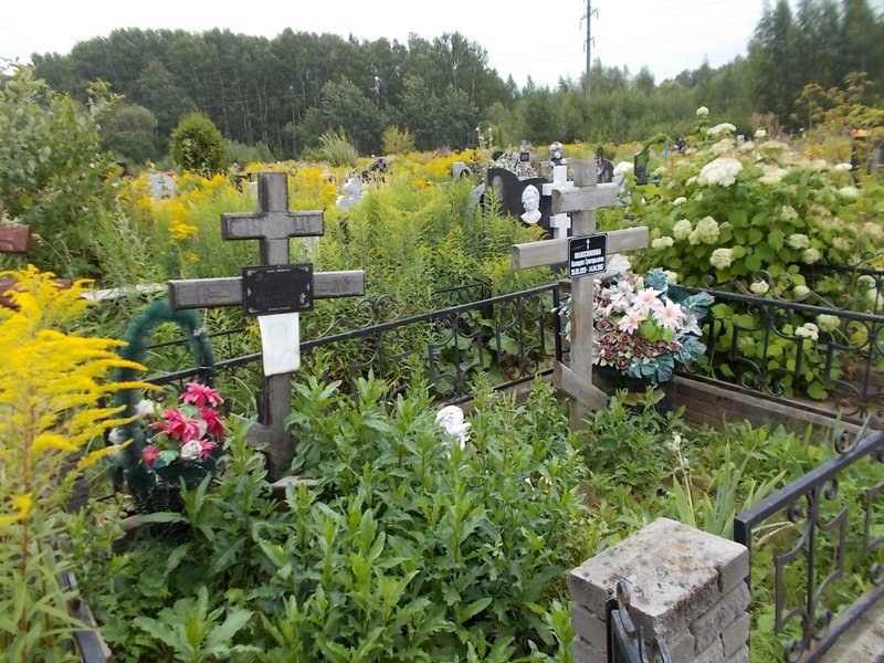 Бибишкин Сергей Александрович