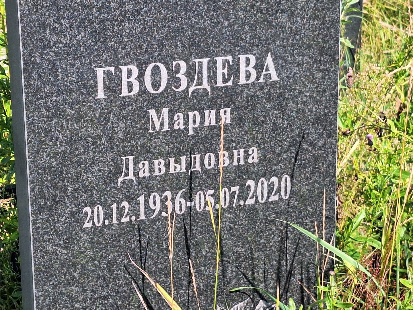 Гвоздева