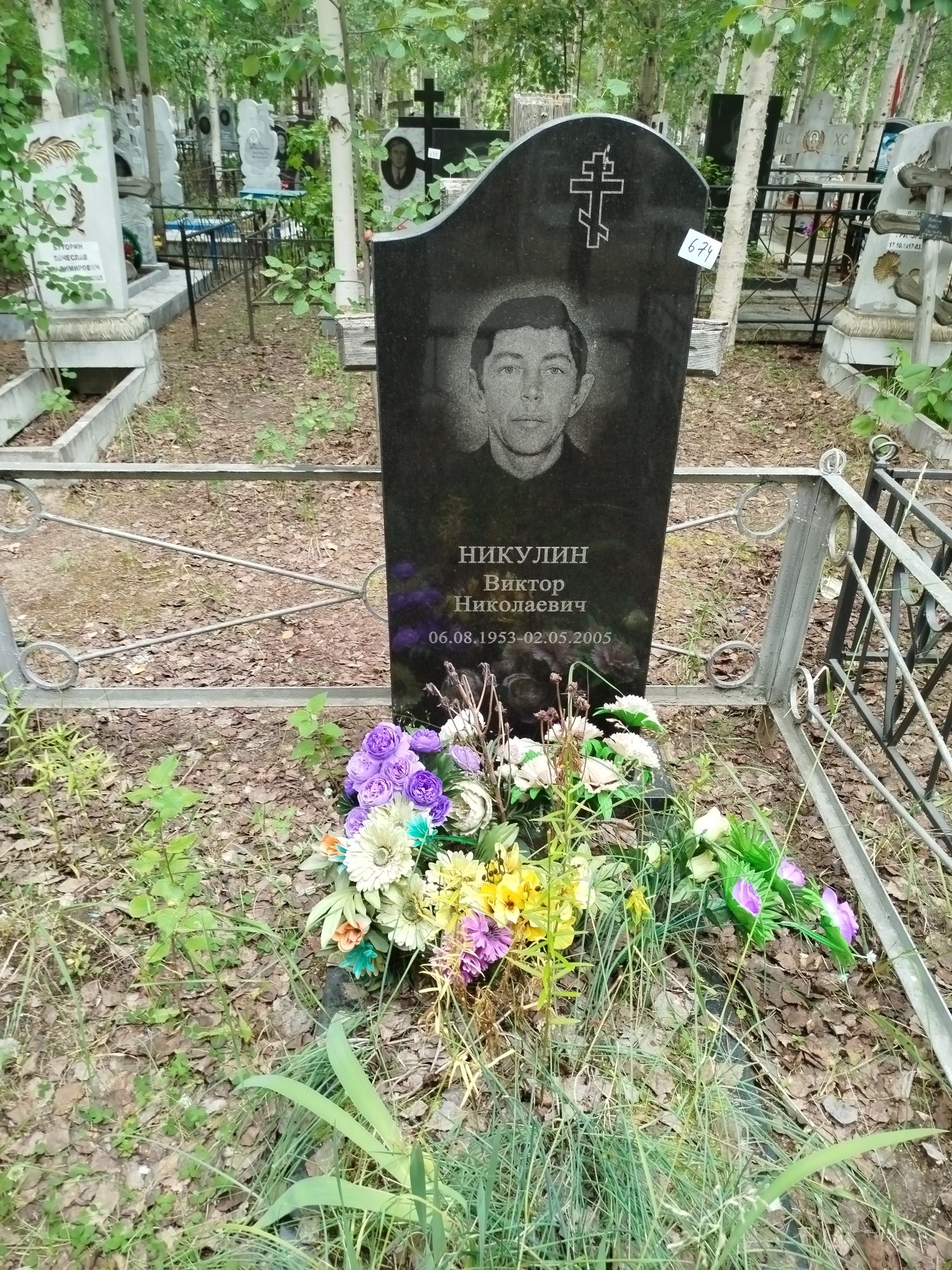 Никулин Виктор Николаевич