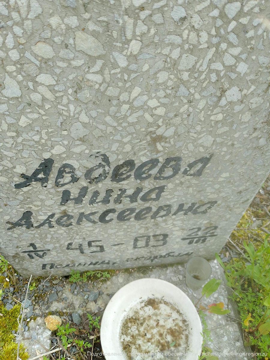 Авдеева Нина