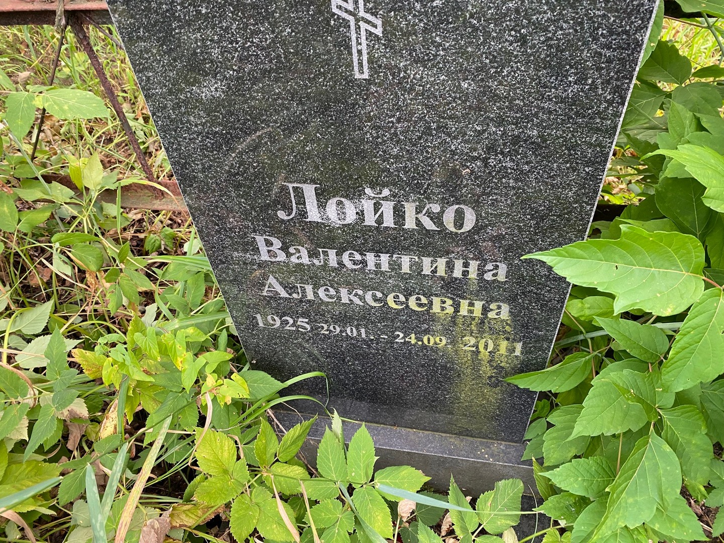 Лойко